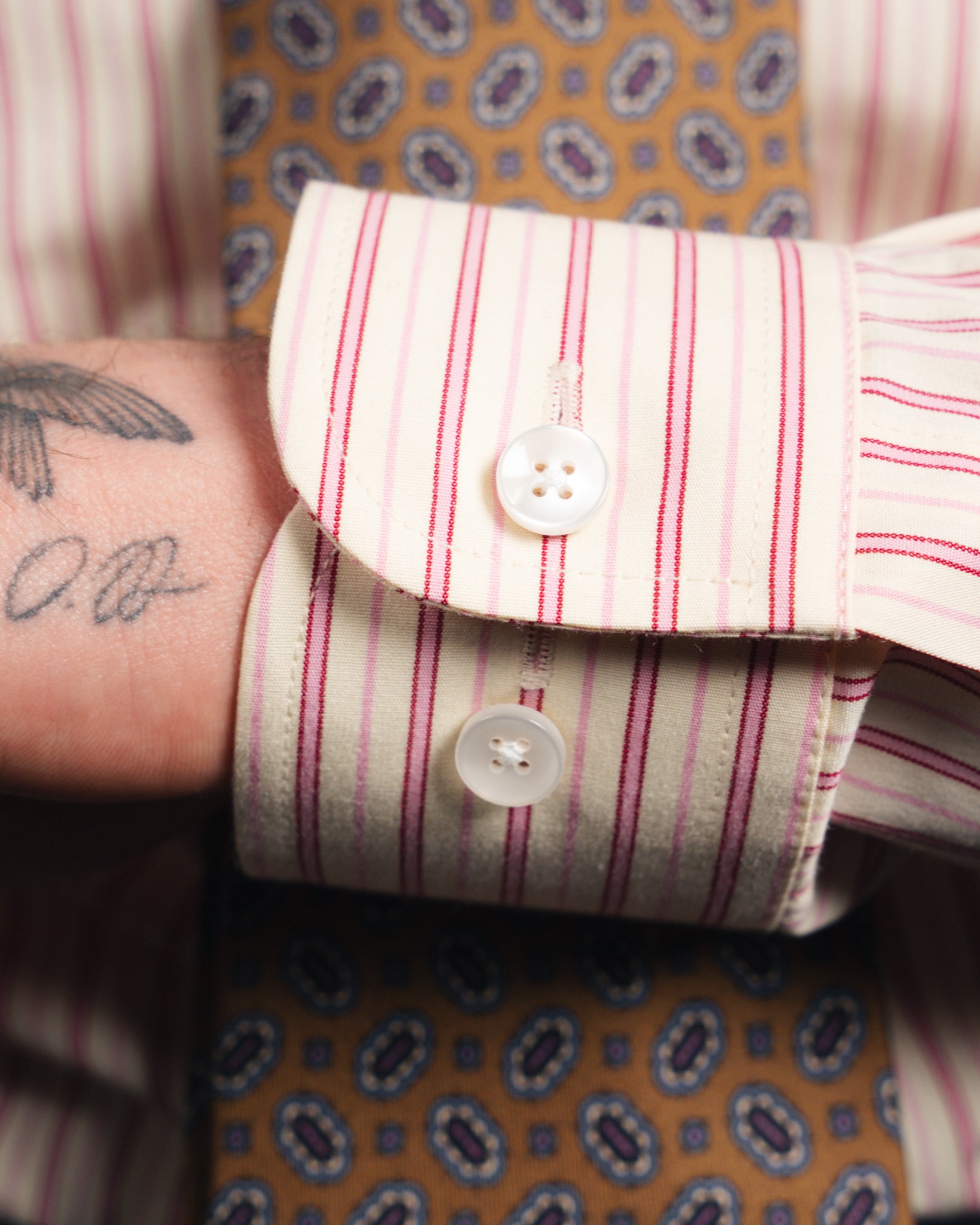 Ante - Poplin - Cutaway Collar - Cream/Pink Striped