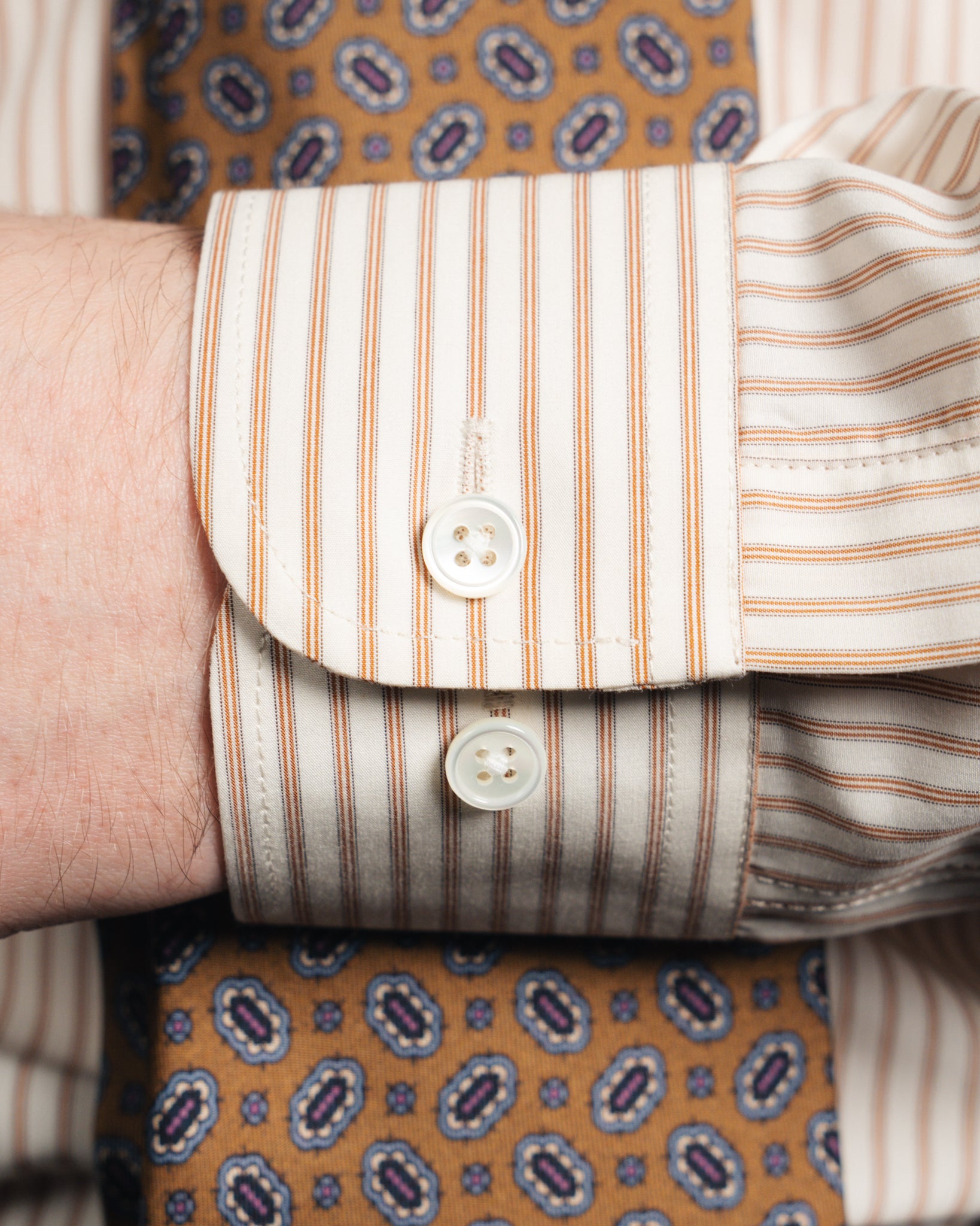 Ante - Poplin - Cutaway - Sennep strip