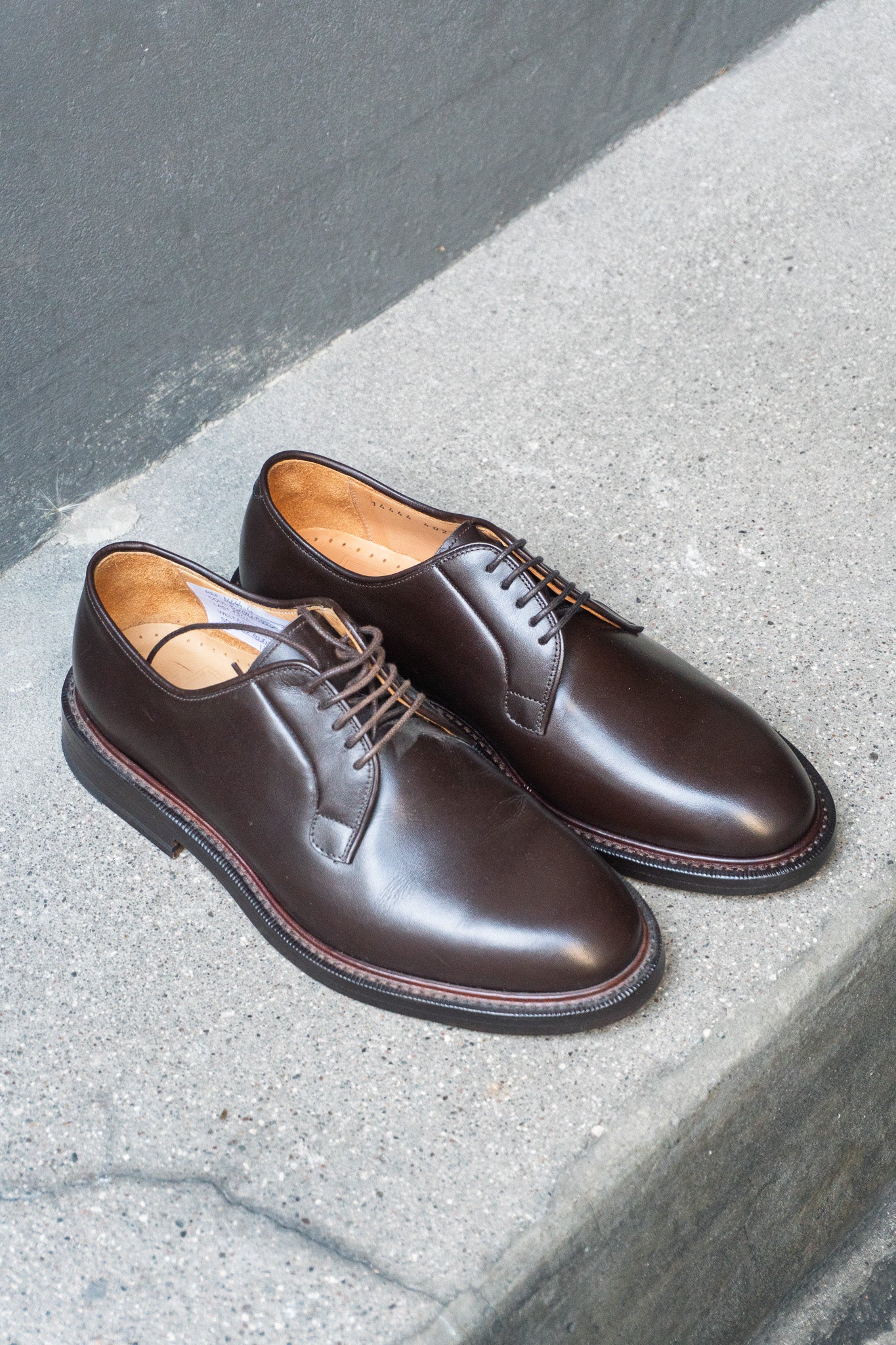 Blucher - Sample