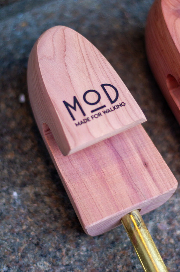 Shoelaces - MOD - Cedar