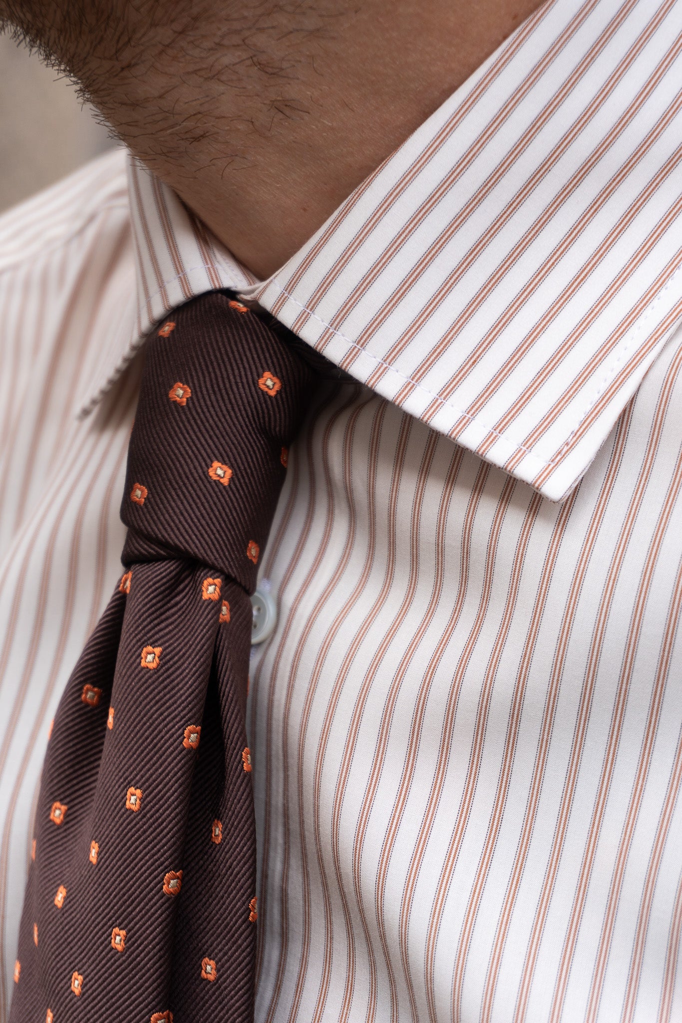 Ante - Poplin - Cutaway - Sennep strip