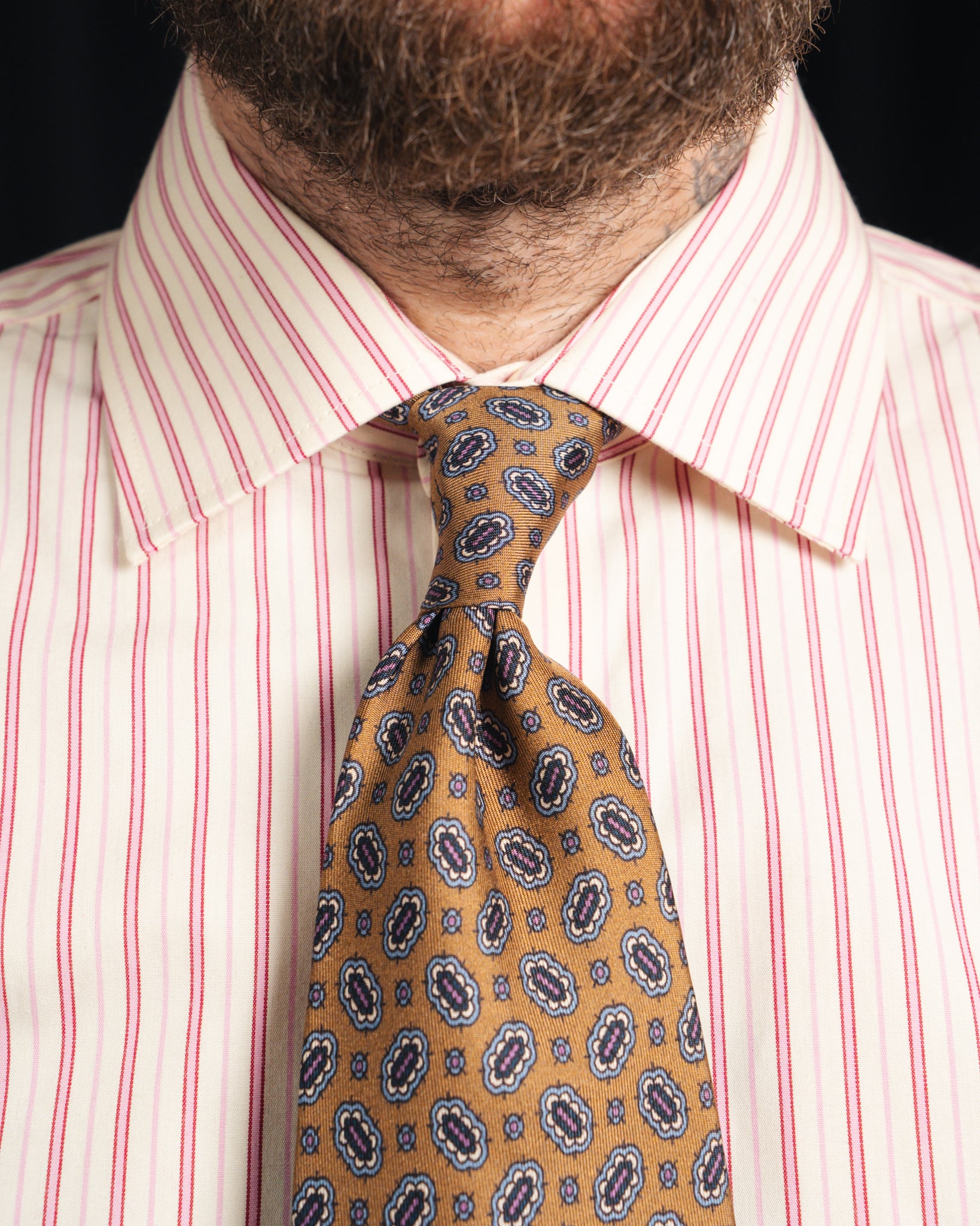 Ante - Poplin - Cutaway Collar - Cream/Pink Striped