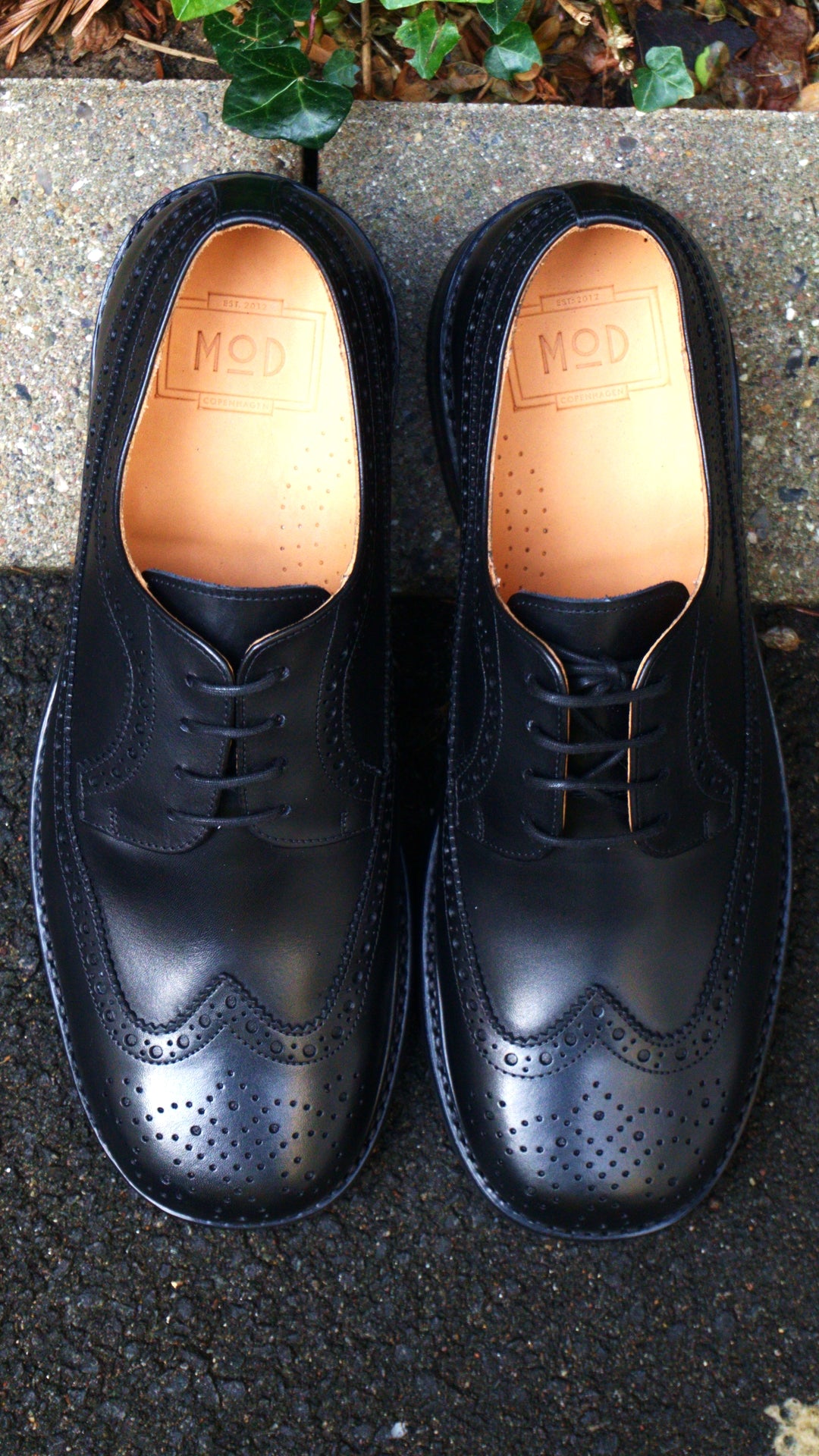 Brogue - Square Toe - Sample