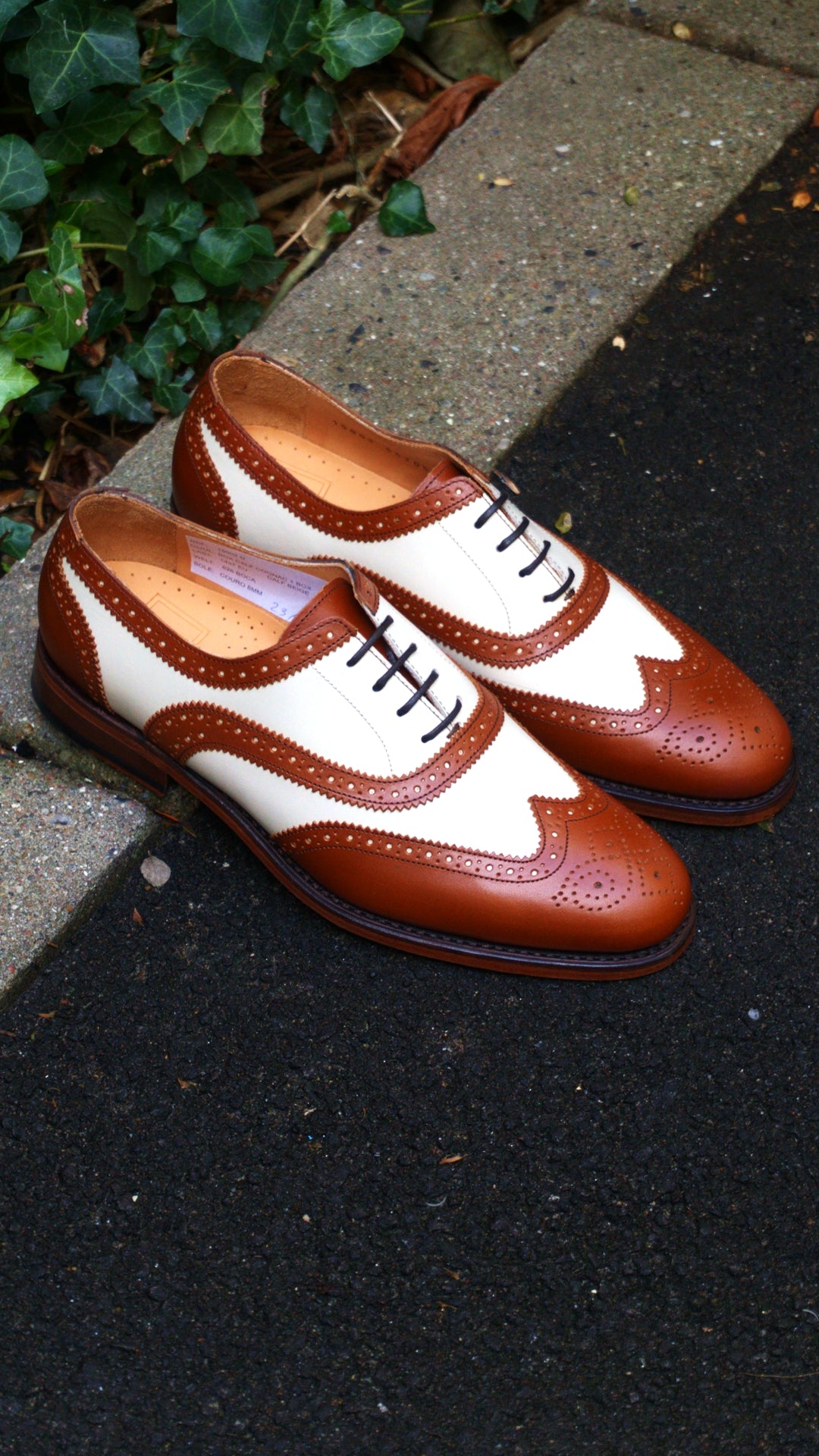 Wingtip - Two Tone - Sample