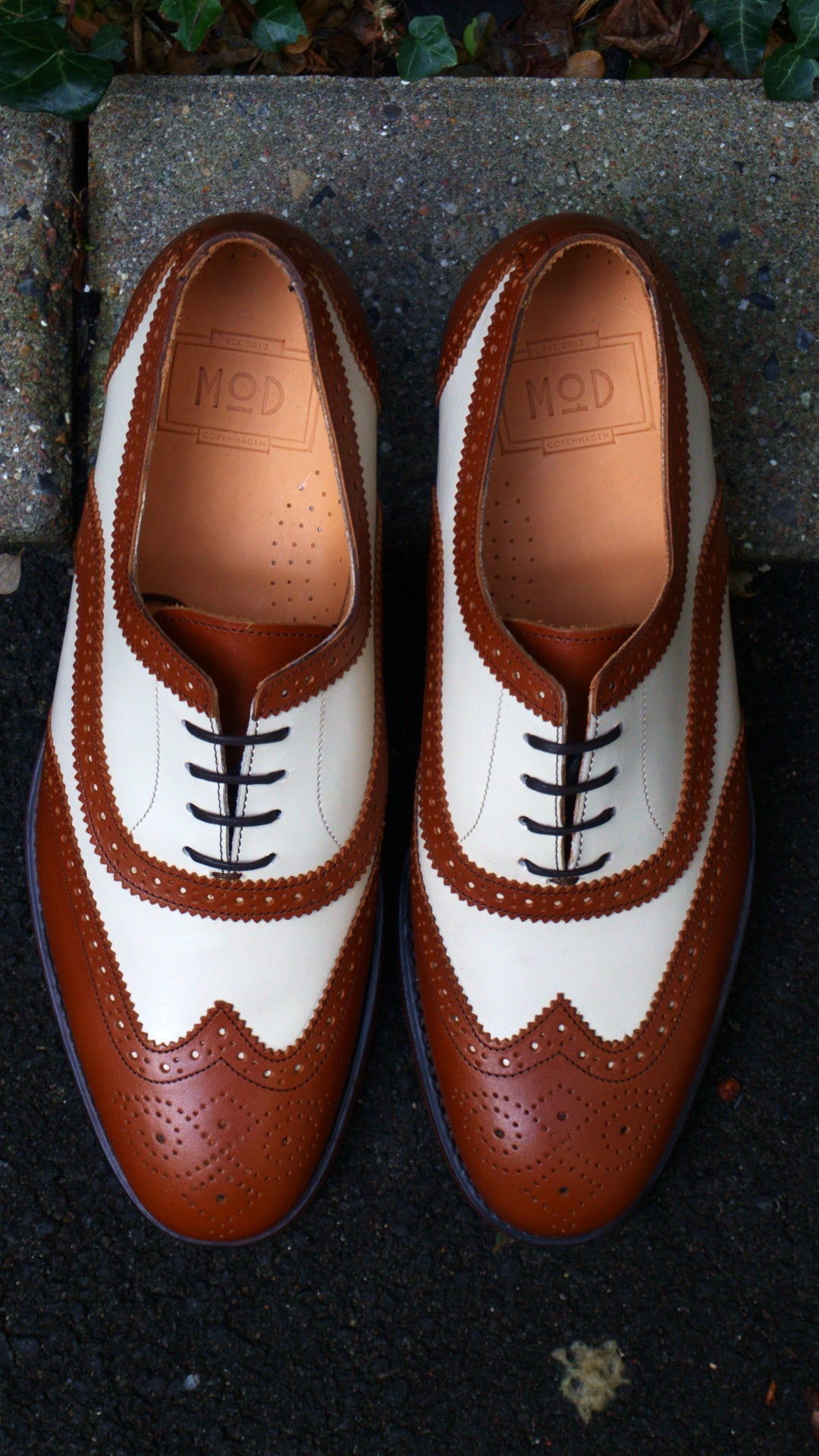 Wingtip - Two Tone - Sample